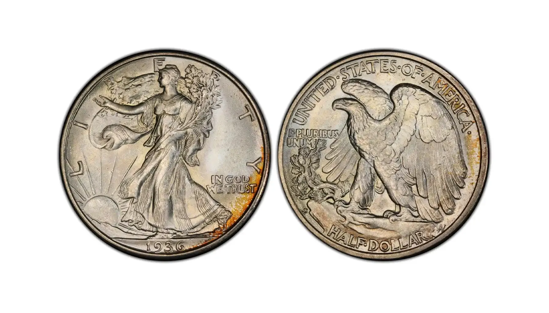1936 Walking Liberty Half Dollar business strike vs Proof comparison showing mirror fields